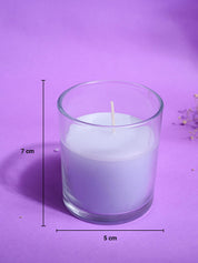 Lavender & Violet Fragrance Candle